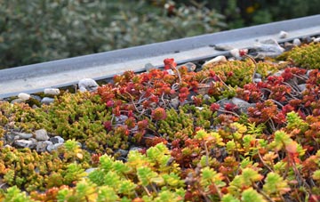 the cost of New Tolsta green roof installation